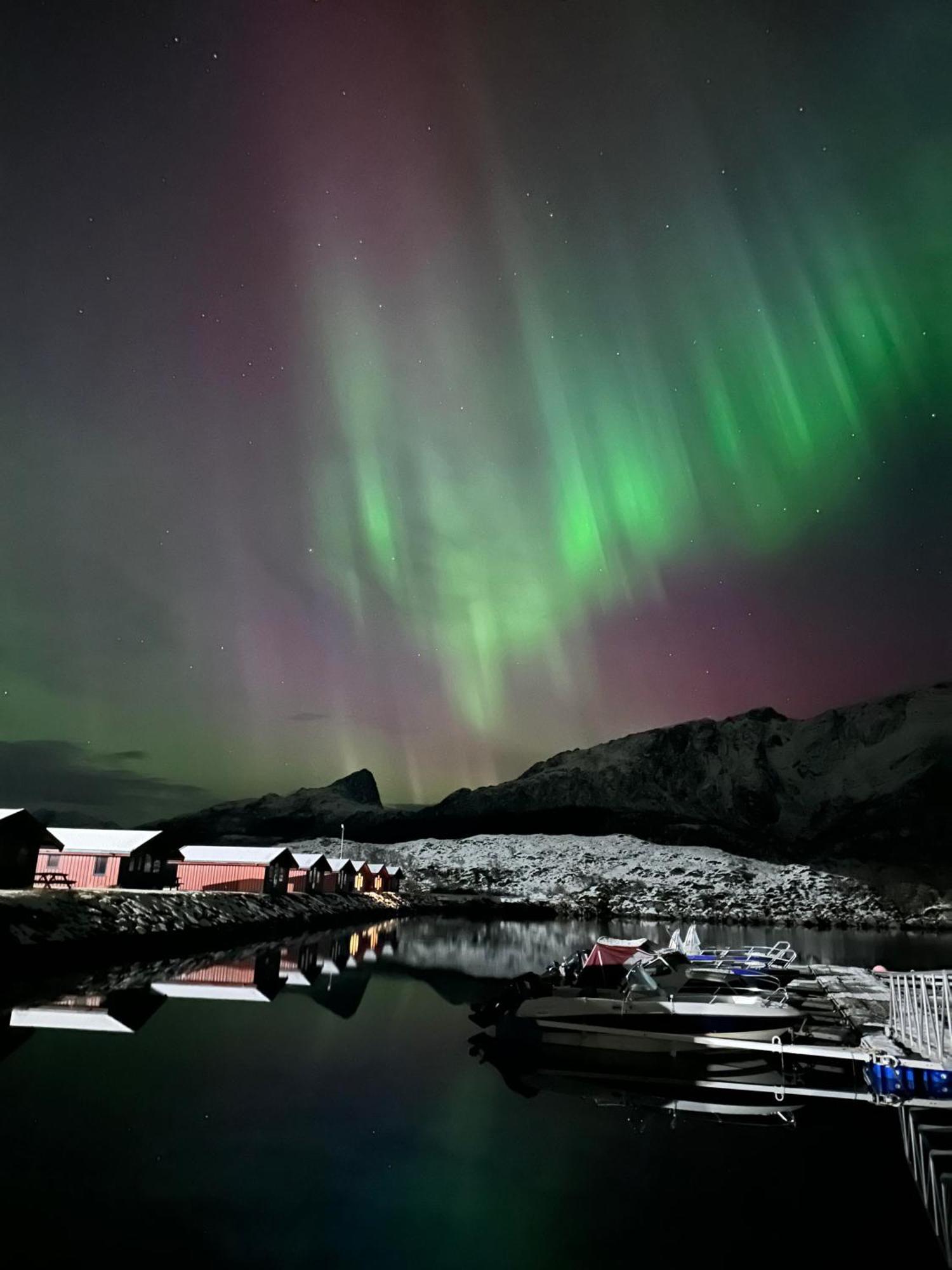 Lodge Fjordcamp